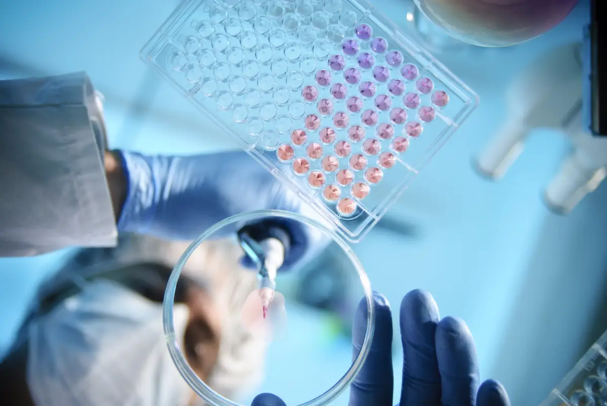 Un científico usa una pipeta con una caja de petri y una placa de microtitulación. 