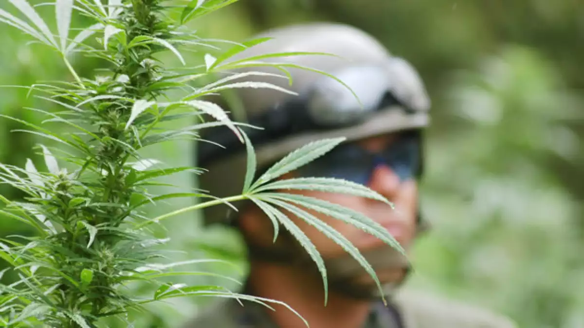 La legisladora dijo que la guerra frontal contra el narcotráfico no ha dado resultados