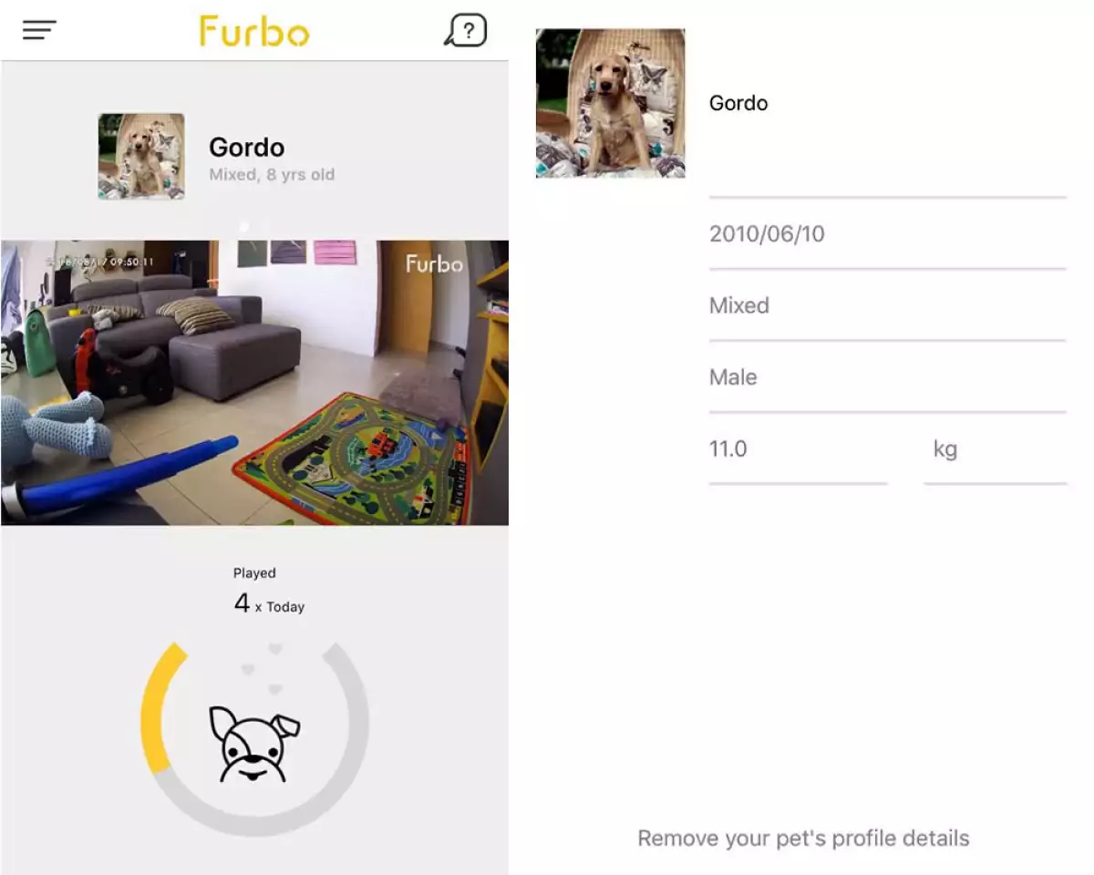 Look and Feel de Furbo