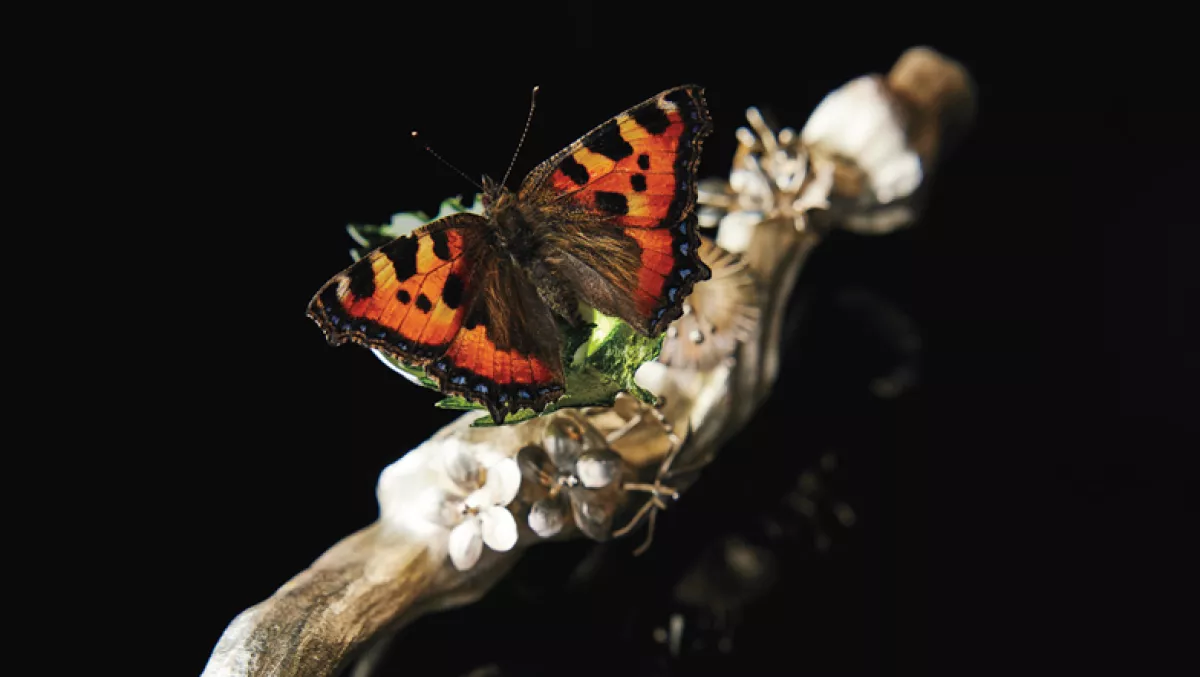 restaurante alchemist menu