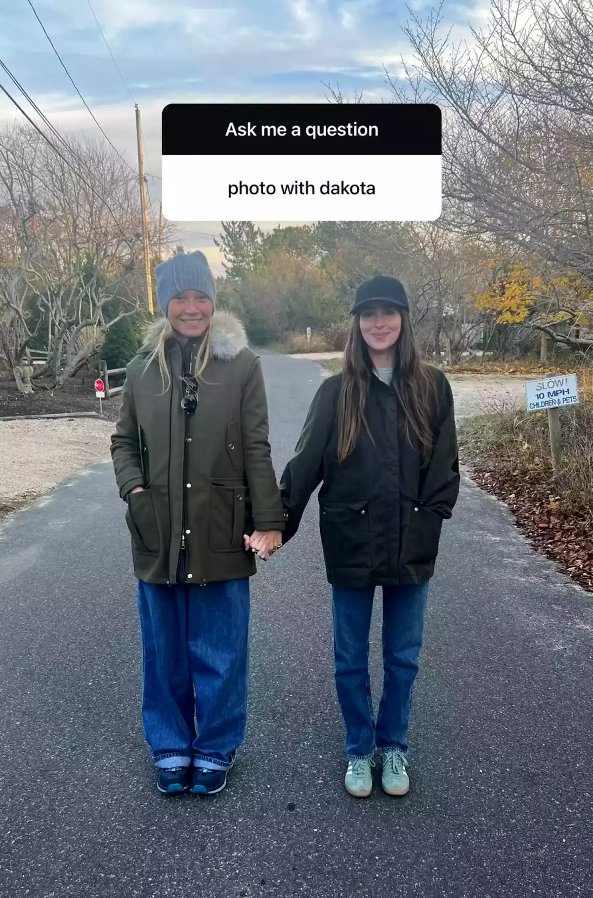 Gwyneth Paltrow posa junto a Dakota Johnson, la novia de su ex Chris Martin.jpg