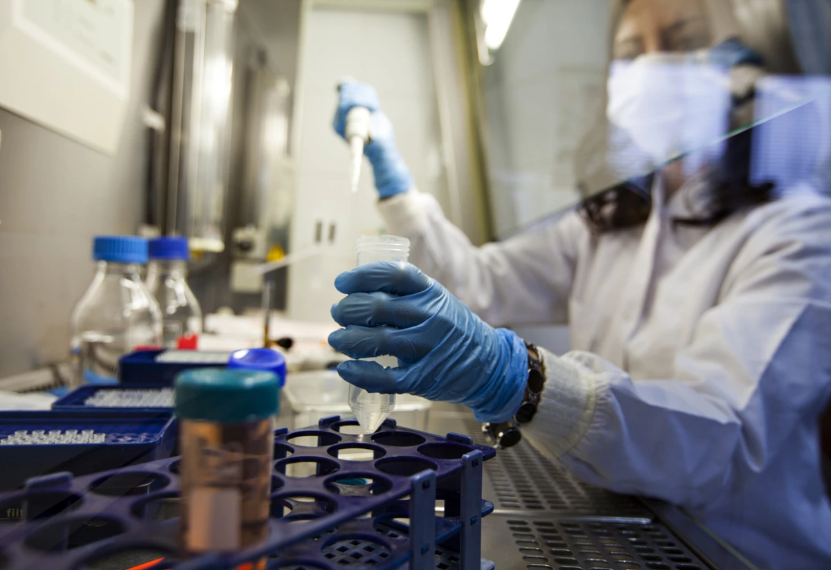 Investigación