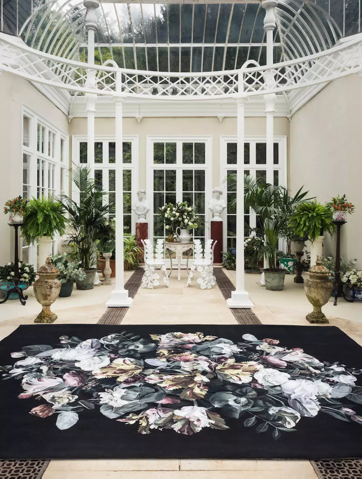 DC_AMQ_CHIAROSCURO_(With LS rug)_R