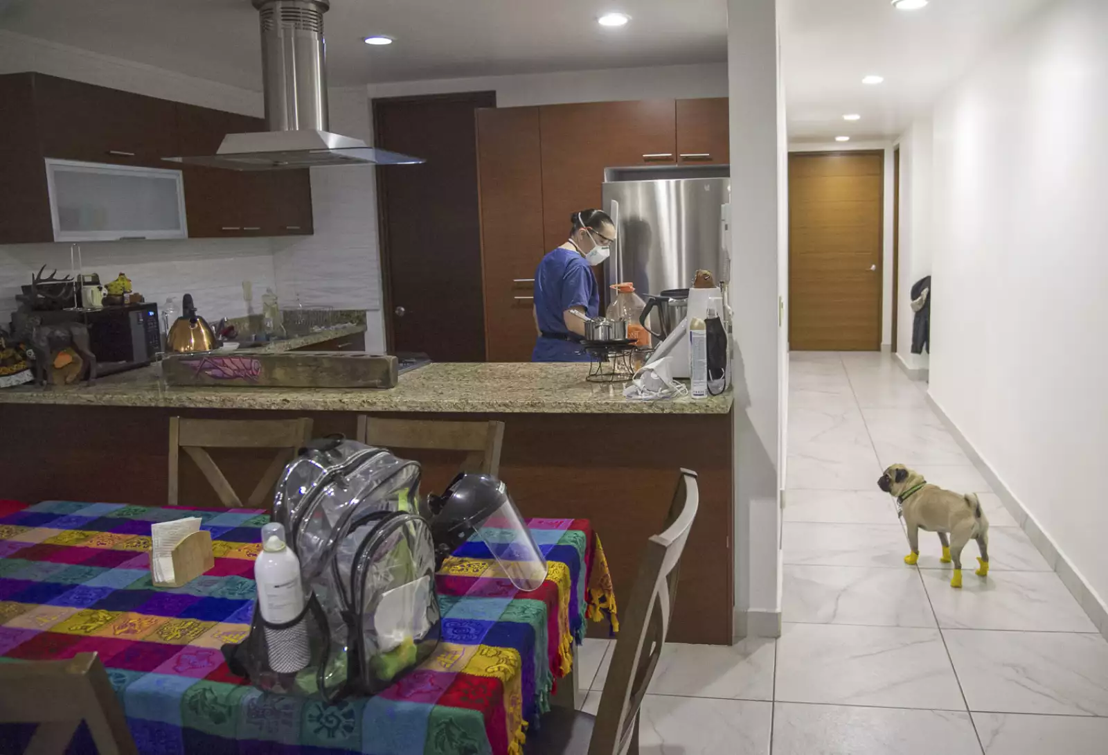 MEXICO-HEALTH-VIRUS-DOG