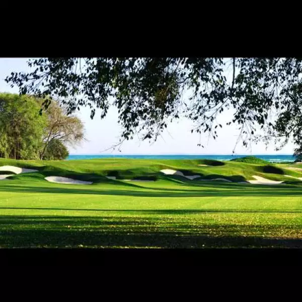 Las Parotas Club de Golf  11