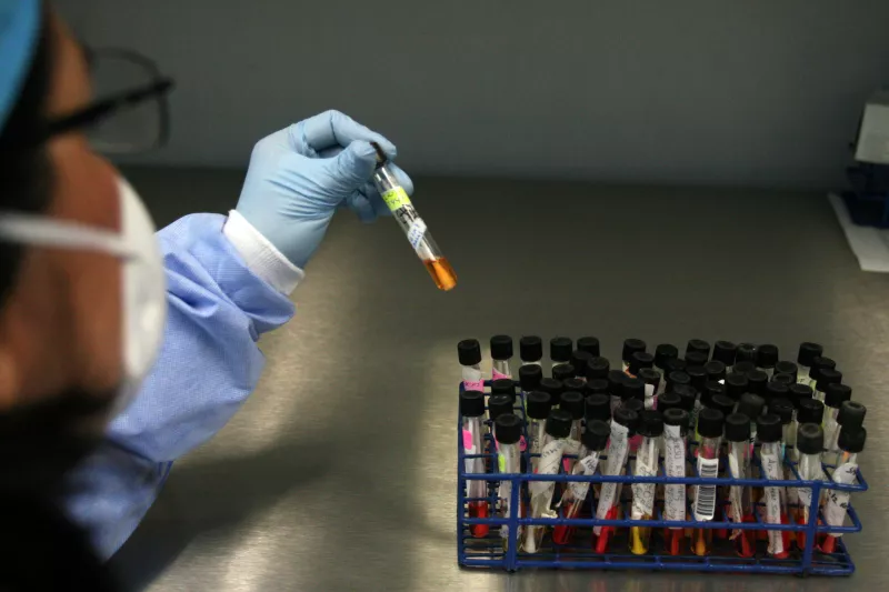 LABORATORIO BIOLOGIA MOLECULAR