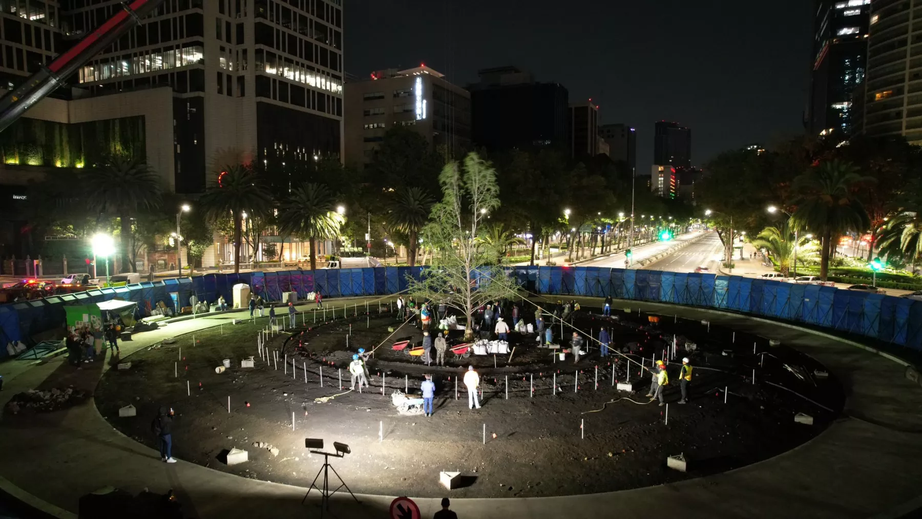ahuehuete reforma.jpeg