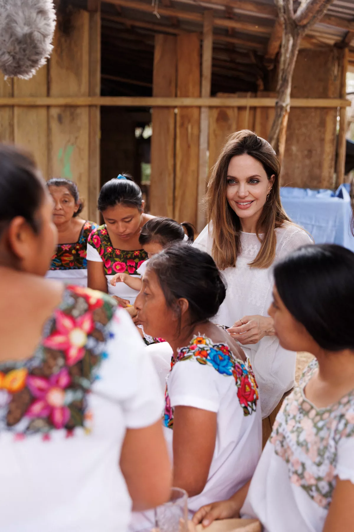 angelina-jolie-viajo-a-la-peninsula-de-yucatan