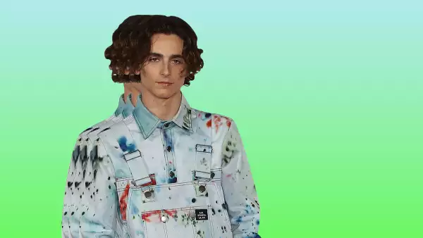 TimotheeWillyWonka_destacada.jpg