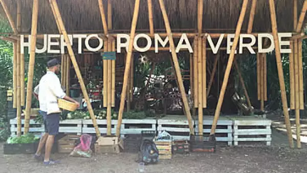 En el Huerto Roma Verde se puede comprar alimentos orgánicos, que los voluntarios producen ahí mismo. (Foto: Carmen Murillo )