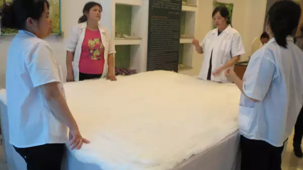 La tela se blanquea con agua y jab�n para quitarles las asperezas; se aclara con agua y se seca, preferentemente al sol; y queda lista para te�irse con tintas naturales.