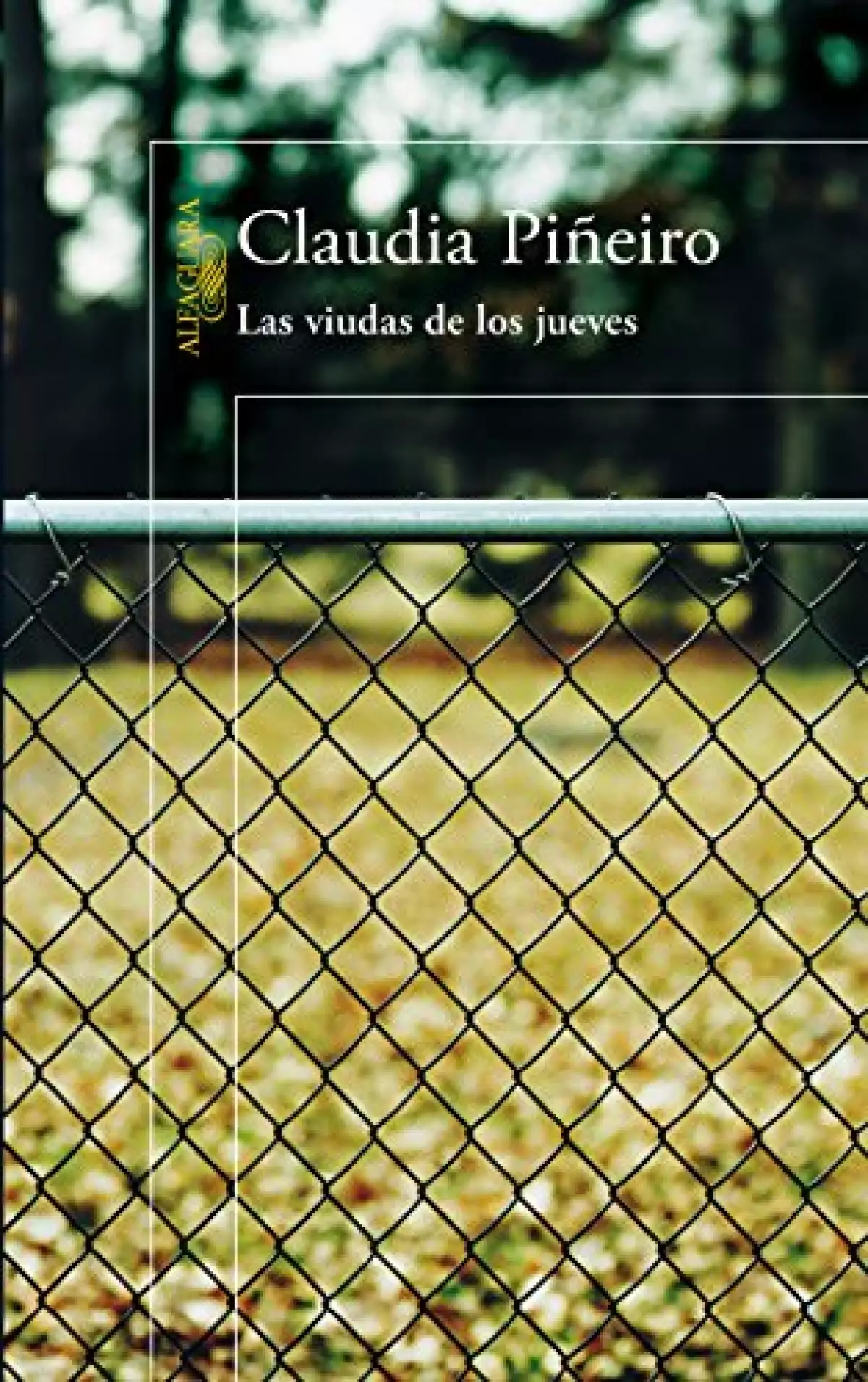las-viudas-jueves-libros.jpeg