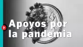 #QuéPasóCon los apoyos del gobierno por la pandemia?