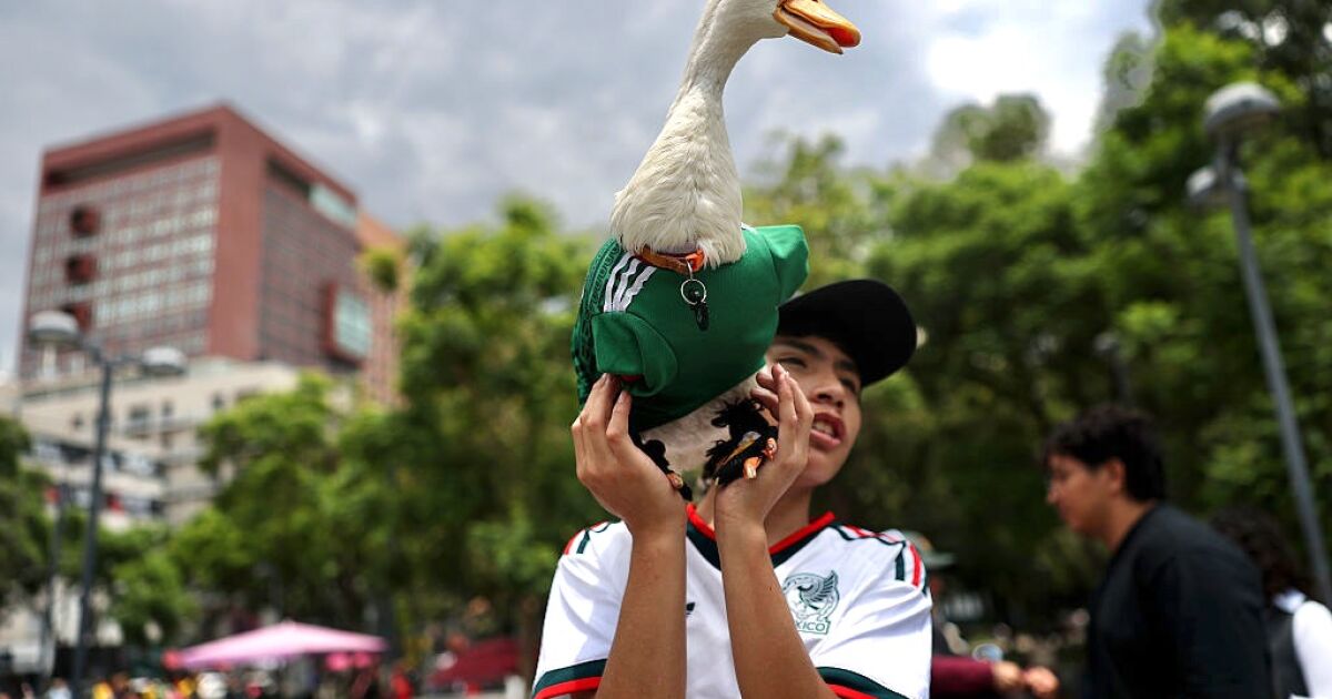 EL PATO MERLÍN DESATA CAOS LEGAL: ¿QUÉ SE PUEDE PATENTAR Y QUÉ NO?