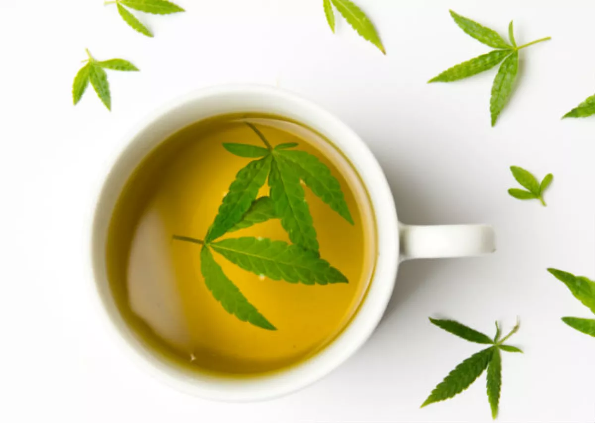 t� de marihuana