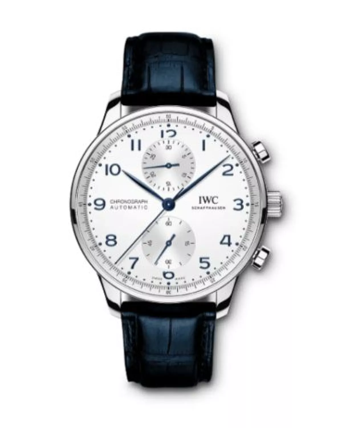 IWC.jpg