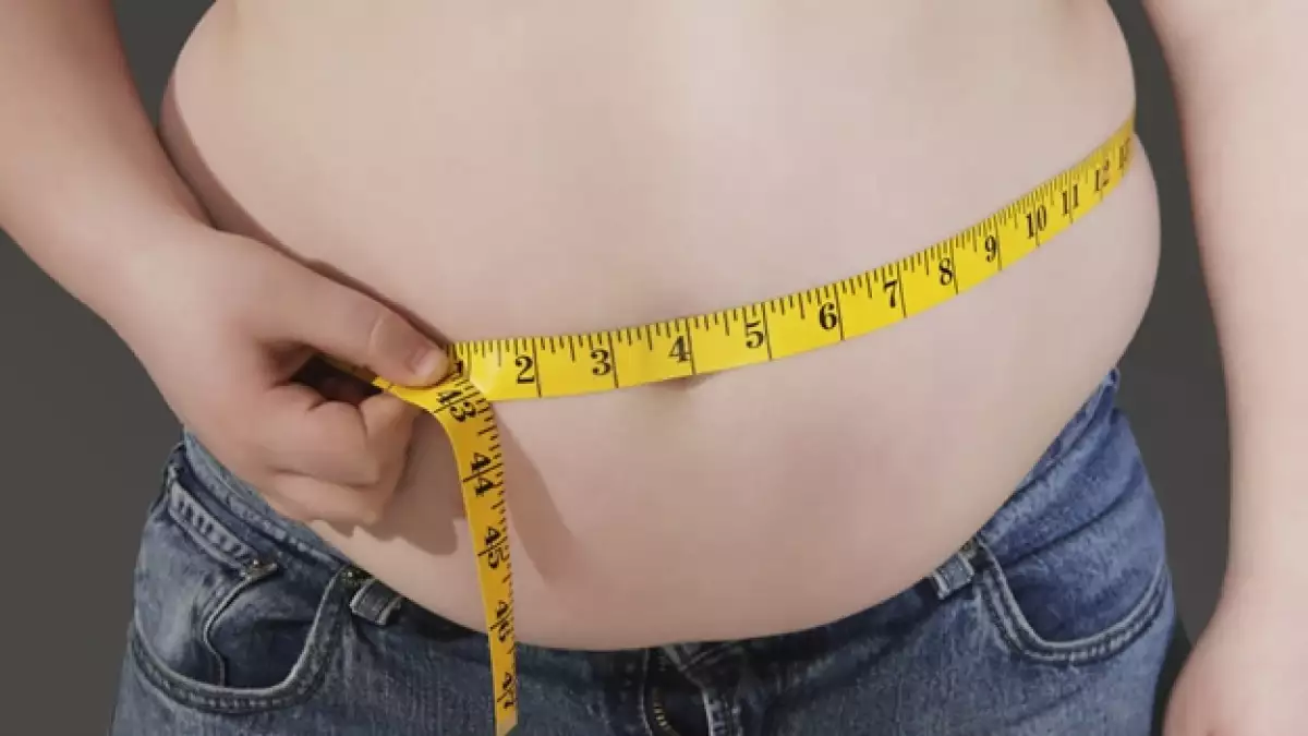 gordo
