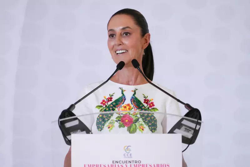 Shienbaum-Yucatán.jpeg