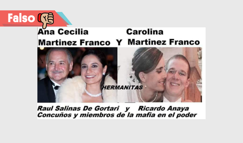 Familia política