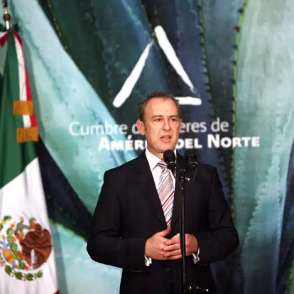 El embajador de México en Estados Unidos, Arturo Sarukhan, informó que la Reforma Migratoria Integral en el vecino país del norte podría presentarse entre noviembre de 2009 y marzo del 2010.