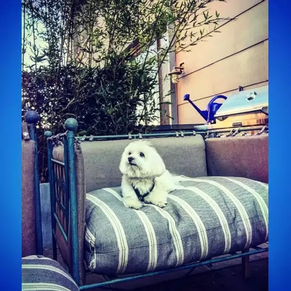 Mr. Butler siempre está invitado a todas las reuniones de trabajo de Olivia y su esposo.