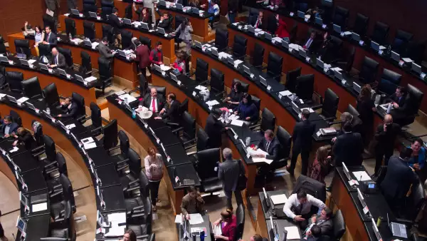 diputados senadores vacaciones