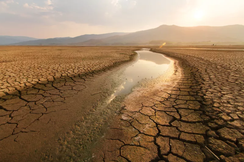 Cancelar las concesiones de agua no afecta la escasez, pero sí a la industria