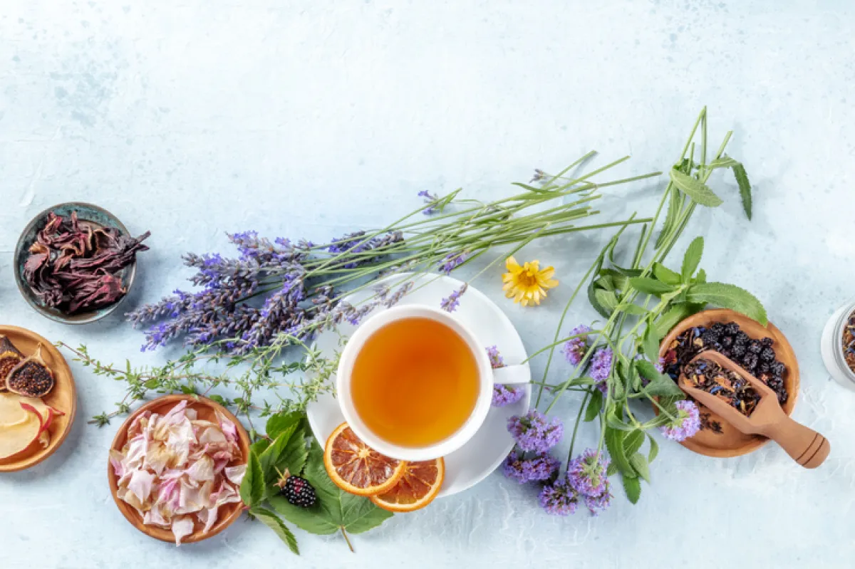Diferencia entre té, infusión y tisana