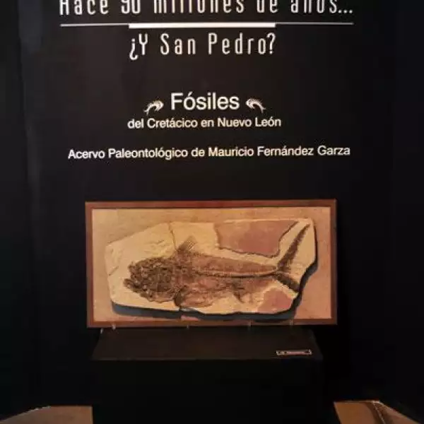 Inauguraci?el Museo El Centenario