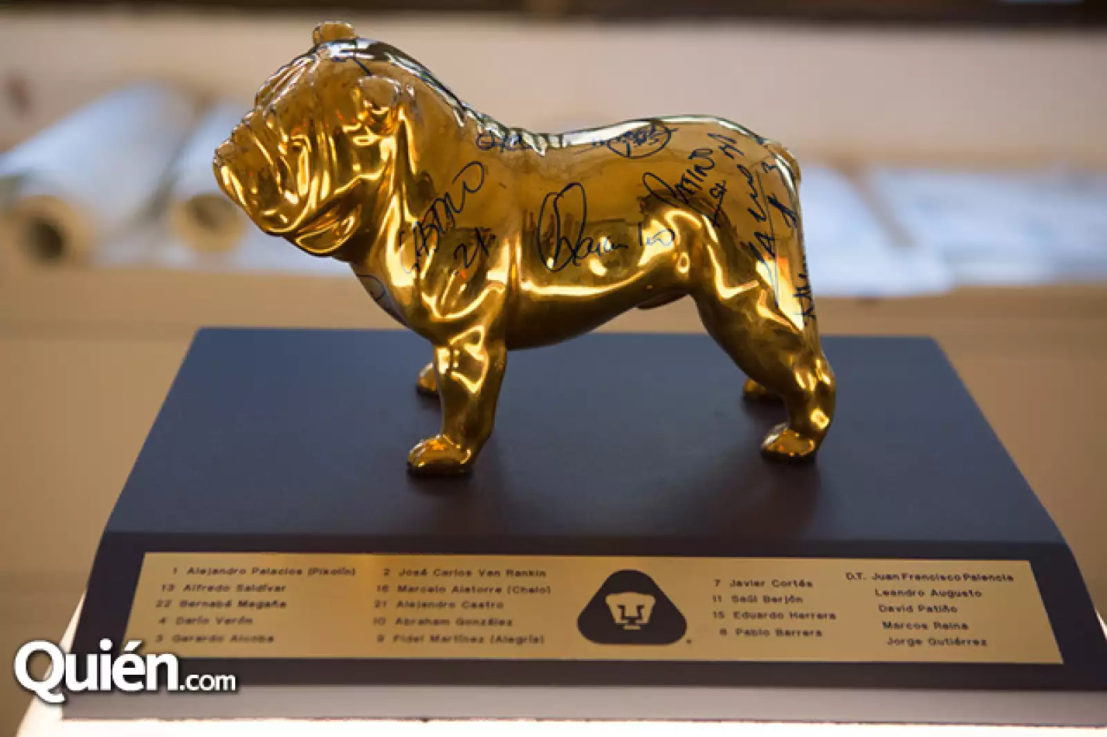 Azul y oro, autor Pumas UNAM