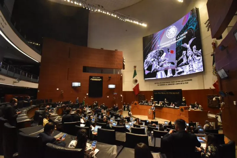 cámara de diputados 