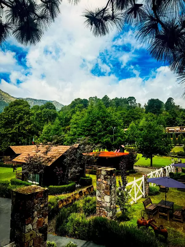 Orgánico Hotel Boutique Ajusco.jpeg