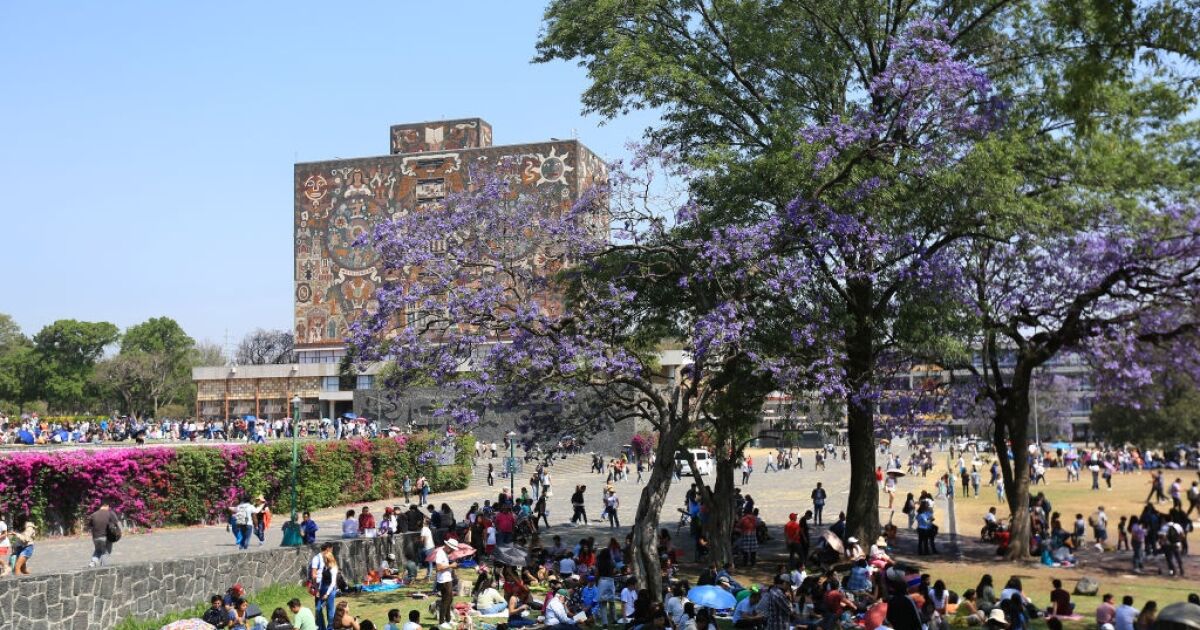 Yüksek talep yarışlarının gerektirdiği ortalamalar