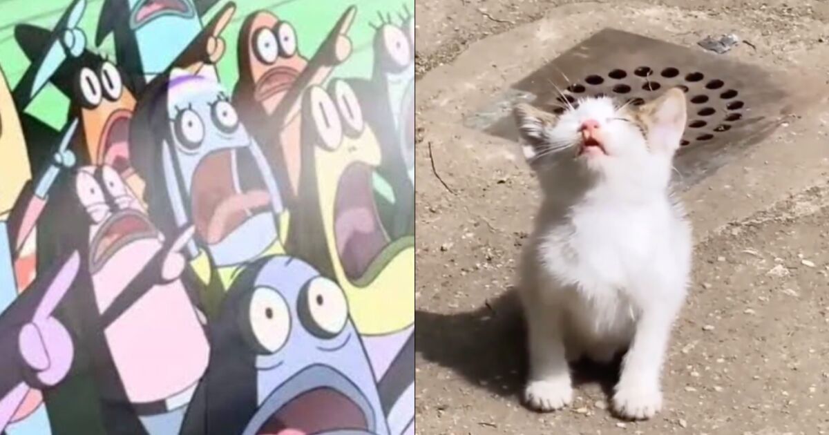 Los memes del eclipse solar del 8 de abril de 2025