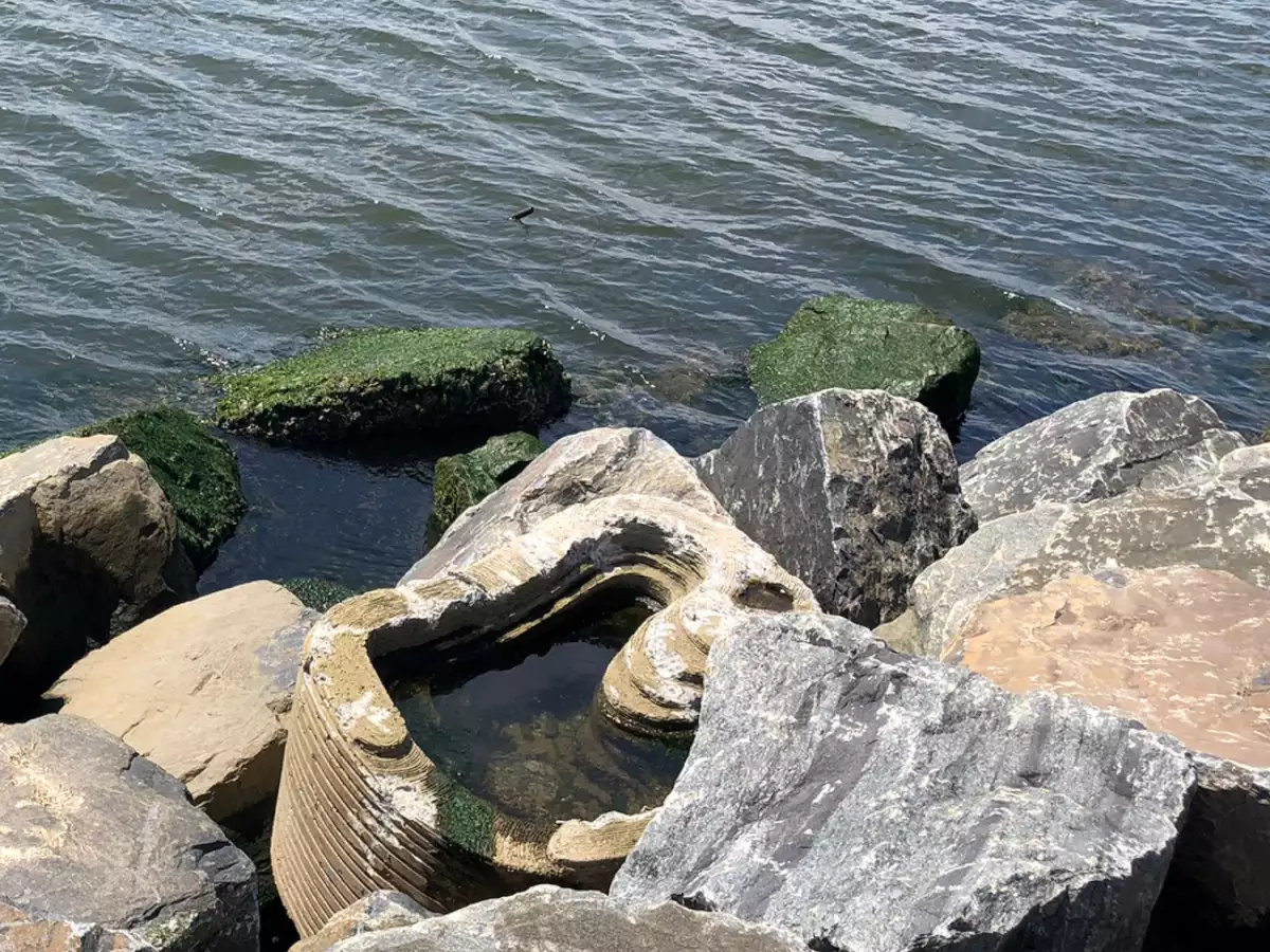 Living Breakwaters (c) SCAPE (9).jpg