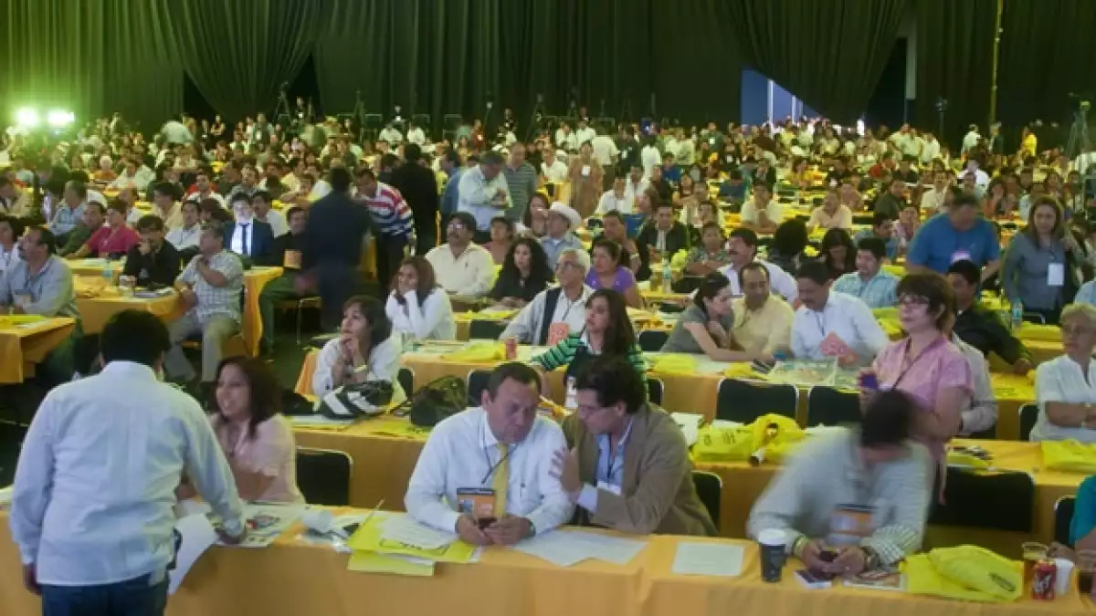 PRD Congreso Nacional Alianzas Encuestas