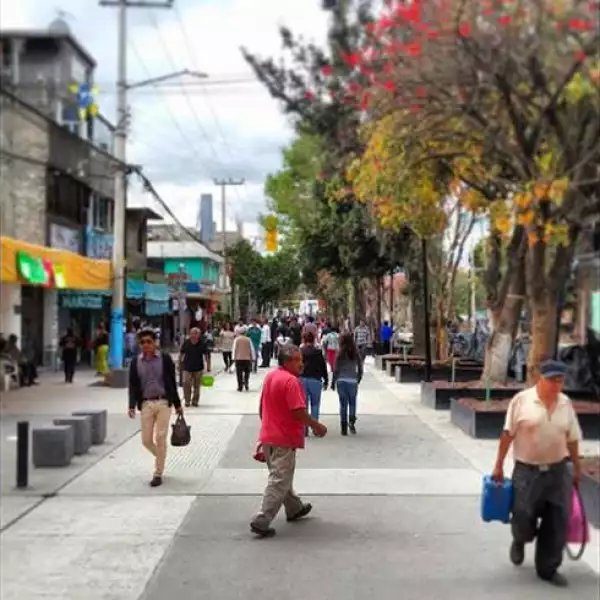 Av. Hidalgo - Bandada