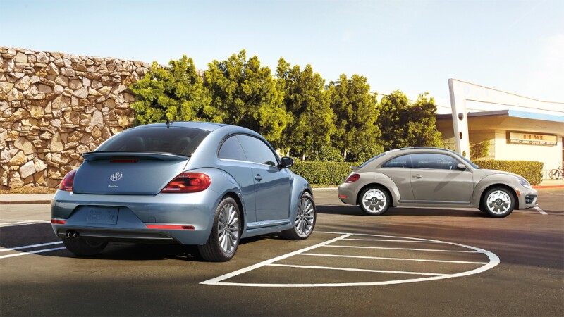 Beetle 02.jpg