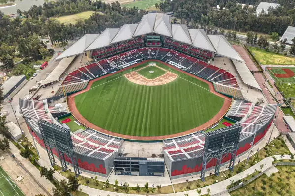 dueno-diablos-rojos-mexico-harp-helu-2