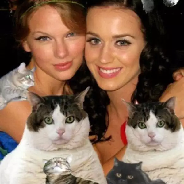 Taylor Swift subió esta foto y escribió: “Salir con @ katyperry es súper divertido, a excepción de la manada de gatos domésticos que la siguen.”