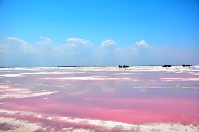 Pink Lake Coloradas