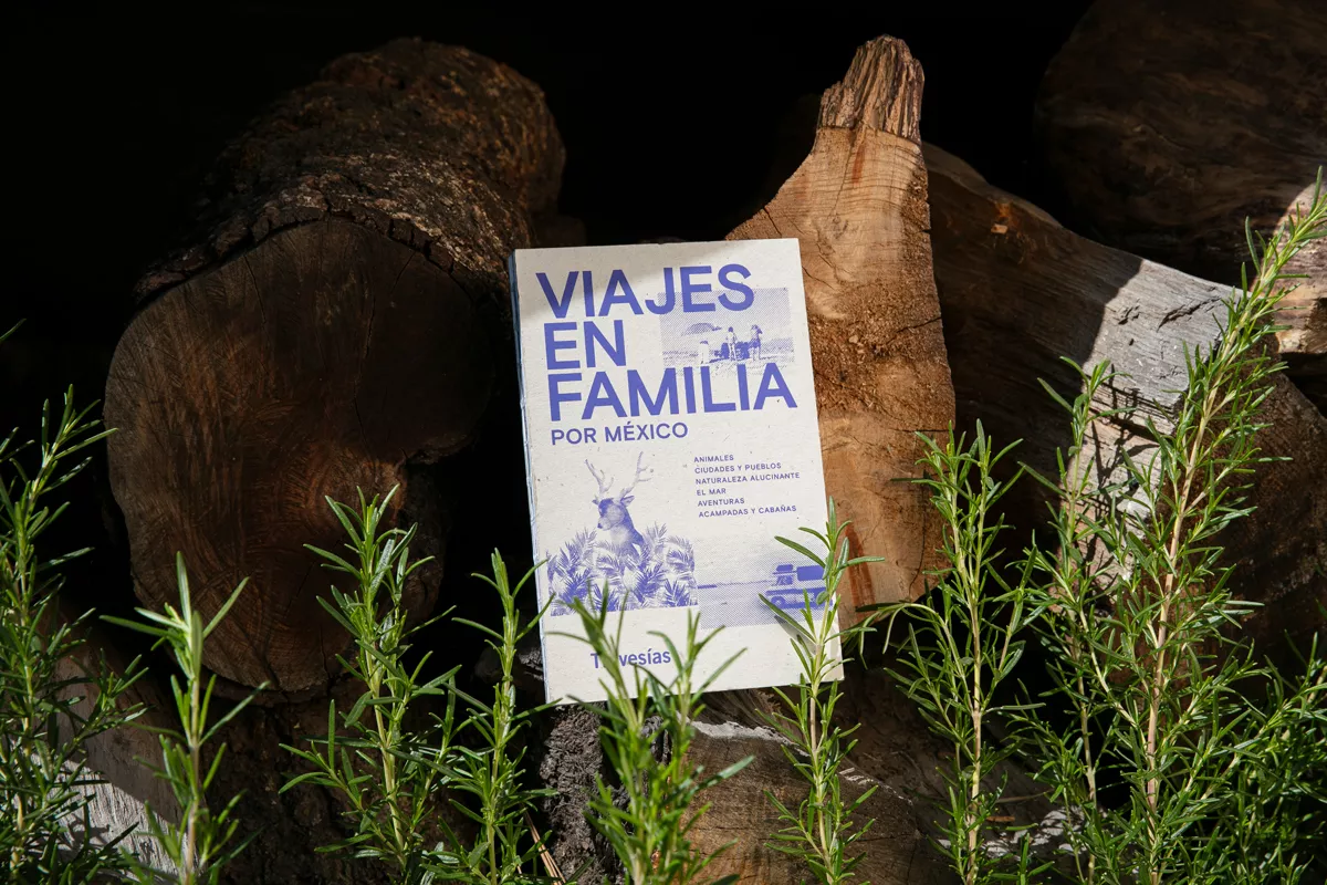 Viajes-en-familia