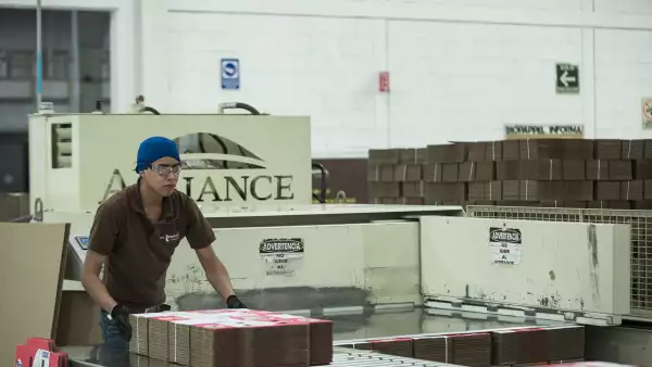 Jóvenes condiciones de empleo