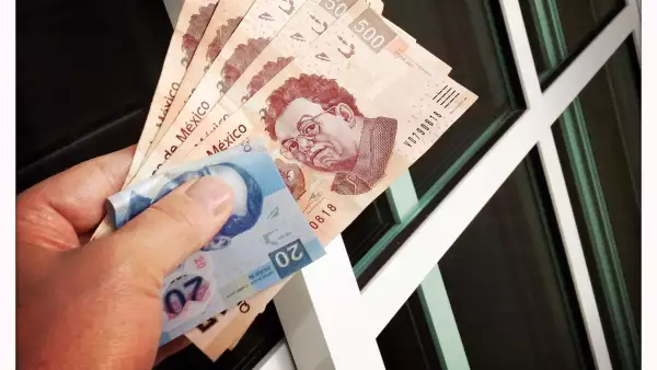En caso de ser víctima de un fraude, la Condusef no podría ayudar al inversor pues este tipo de esquemas no son una figura reconocida legalmente.