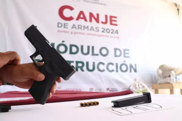 armas-neza.jpeg