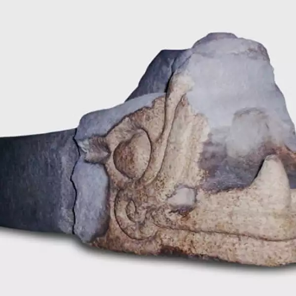 Piezas arqueológicas toltecas