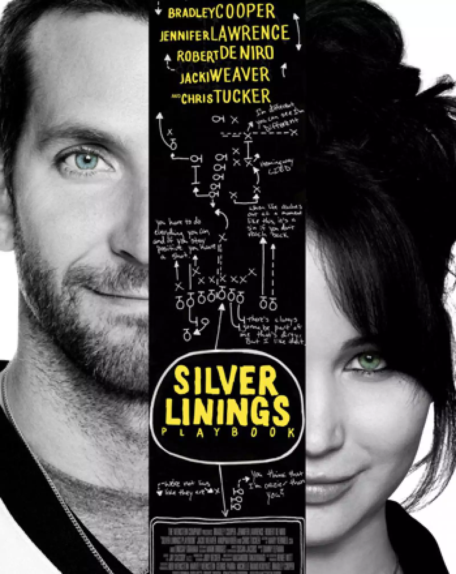 Silver Linings Playbook poster oficial