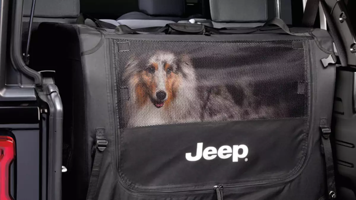 cuatro-ruedas-mejores-copilotos