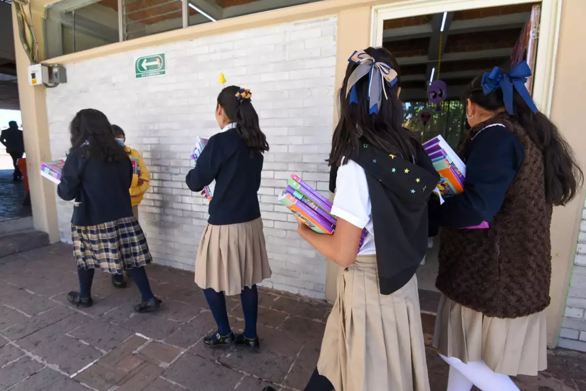 Rezago educativo