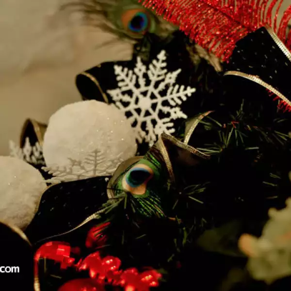 Esthela Villarreal da plática de decoración navideña